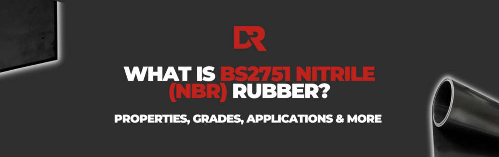 What-is-BS2751-Nitrile-1024x322